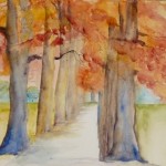Kurs BaumFeb.2012 001.kl